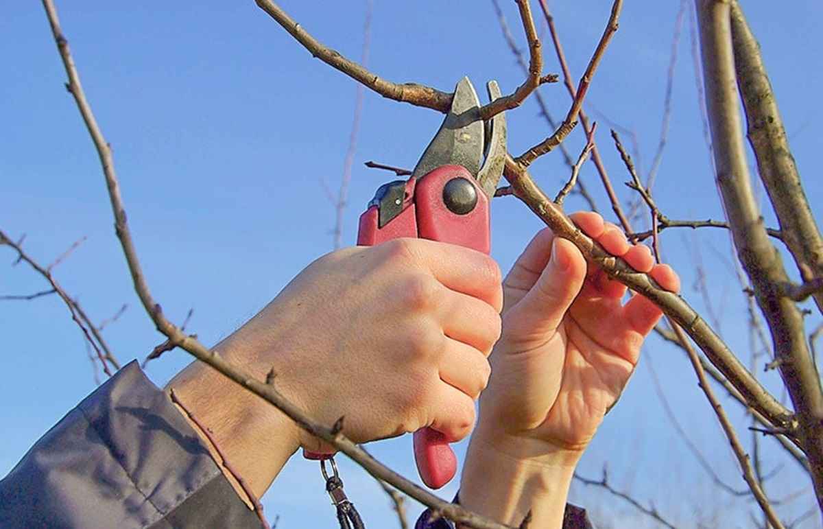 Фото иллюстрационное