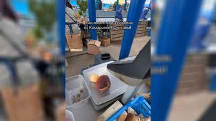 «Лучше красной рыбой буду питаться» — Цена одного боровика на минской Комаровке разделила TikTok на два лагеря