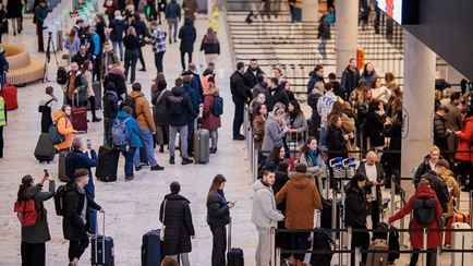 Науседа пообещал «накалять обстановку» после нового закрытия аэропорта Вильнюса из-за шаров
