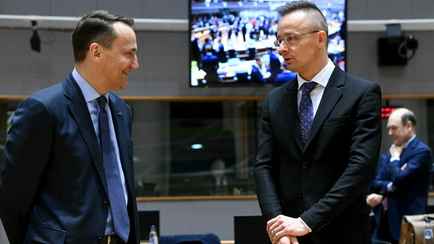 Глава МИД Польши пожелал Венгрии, чтобы Украина уничтожила нефтепровод «Дружба»