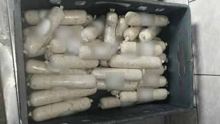 Госконтроль Гомельщины показал «шпик из будущего»