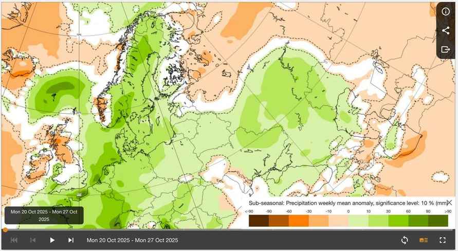 Каким будет начало ноября в Беларуси? Синоптики назвали даты первого снега