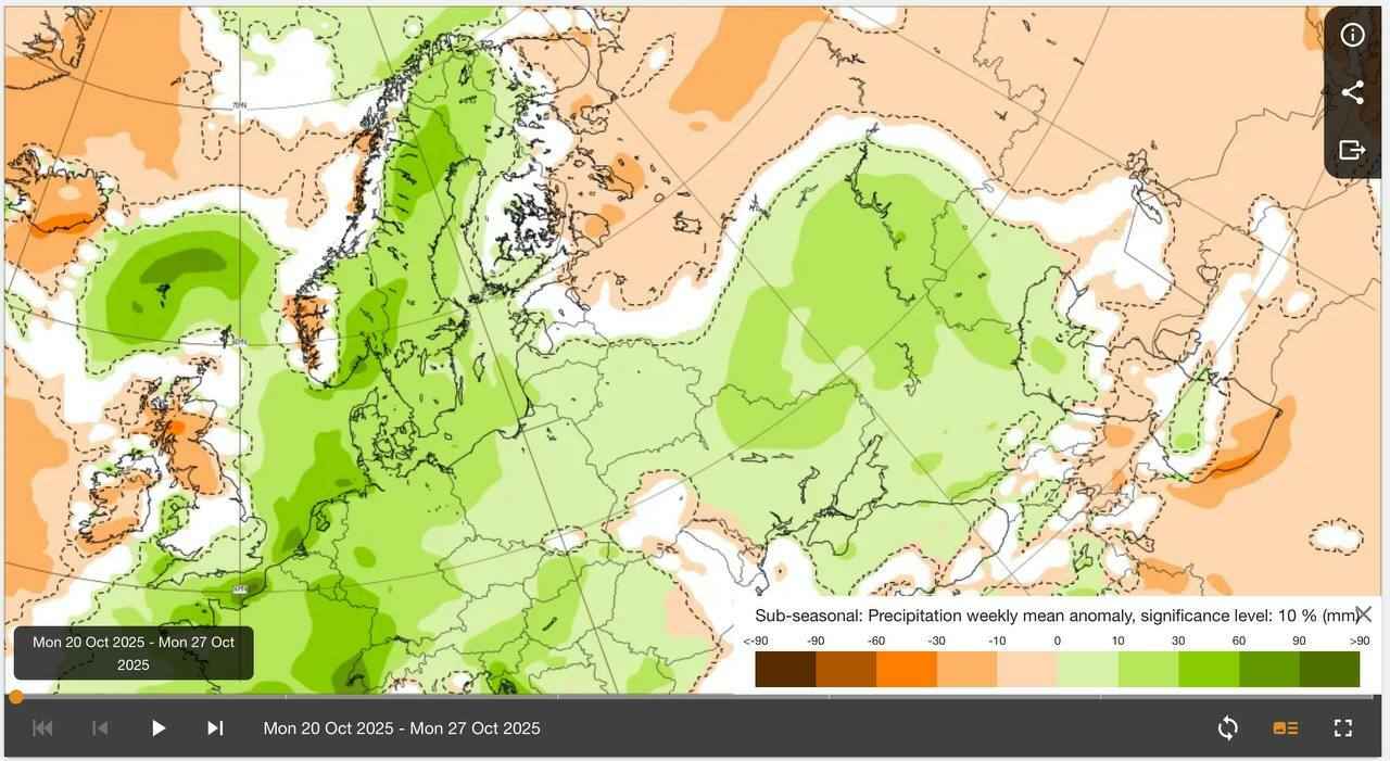 Каким будет начало ноября в Беларуси? Синоптики назвали даты первого снега