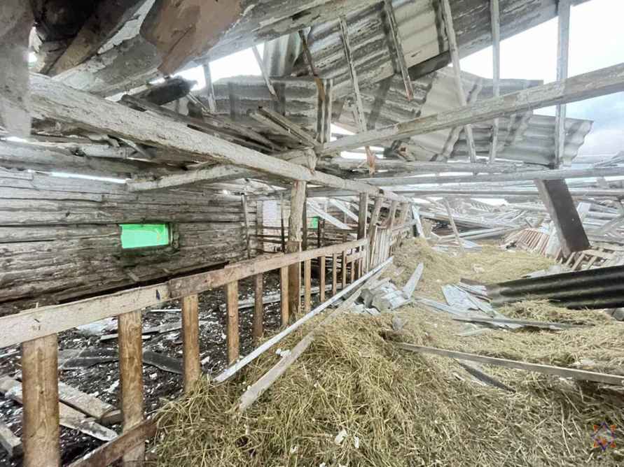 Шквалистый ветер снёс телятник на Могилёвщине и оставил без света десятки деревень Витебщины