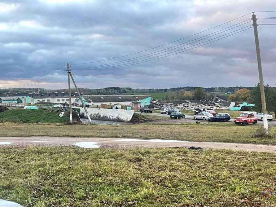 Шквалистый ветер снёс телятник на Могилёвщине и оставил без света десятки деревень Витебщины