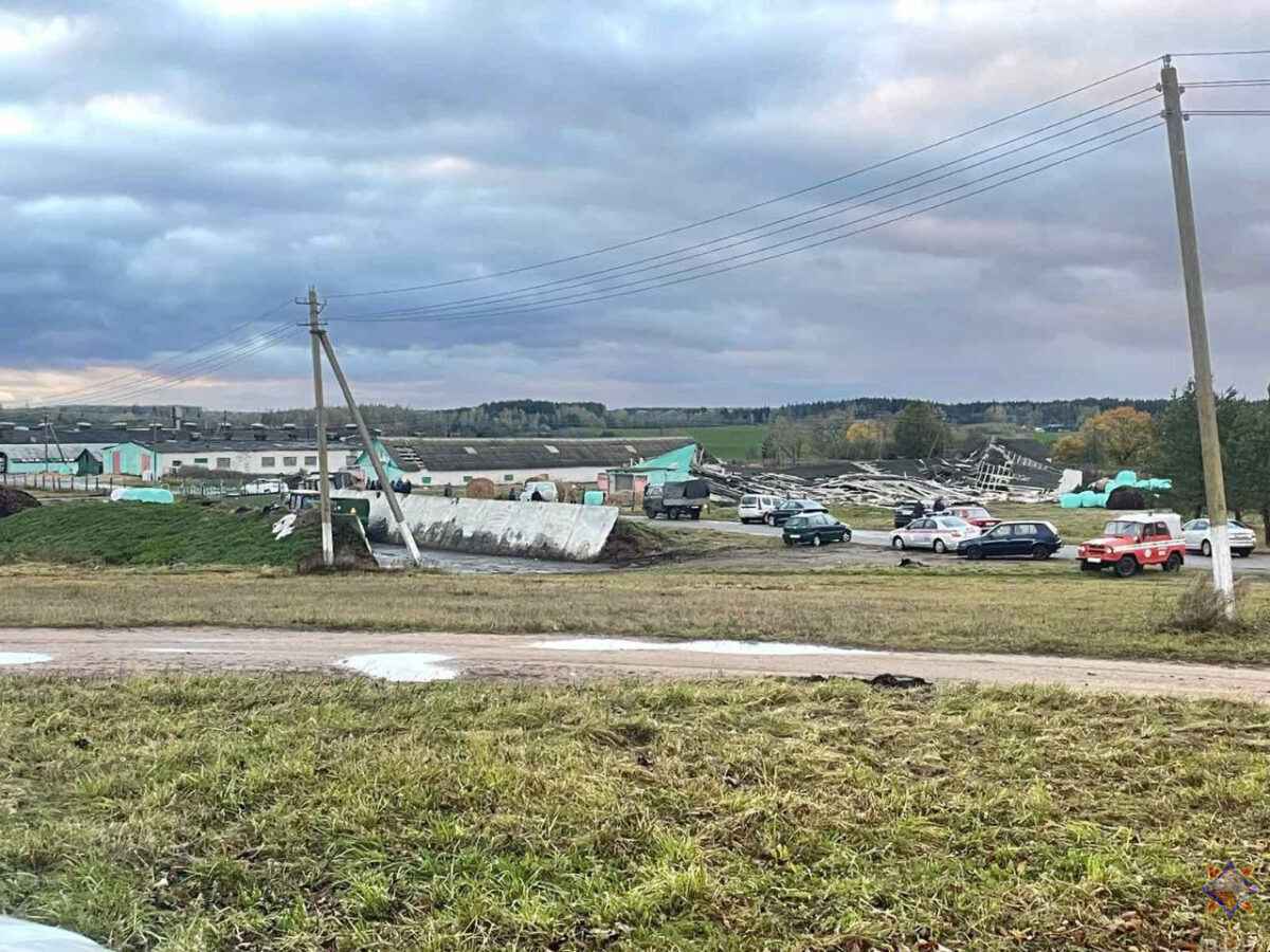 Шквалистый ветер снёс телятник на Могилёвщине и оставил без света десятки деревень Витебщины