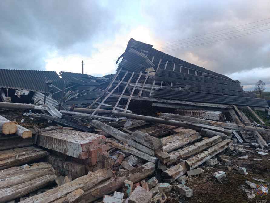 Шквалистый ветер снёс телятник на Могилёвщине и оставил без света десятки деревень Витебщины