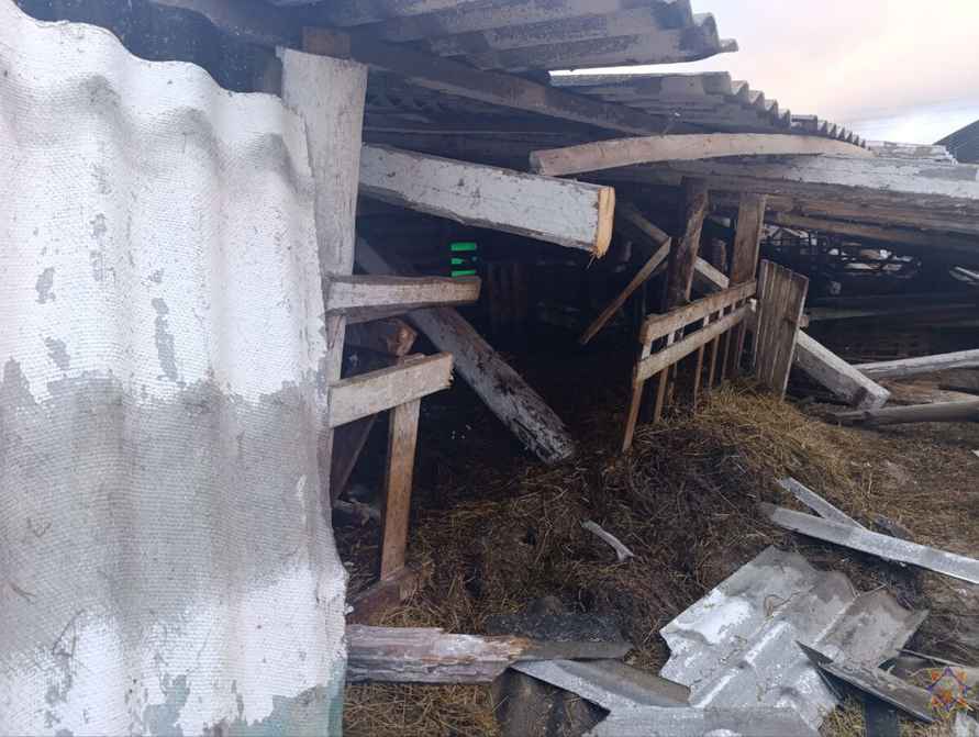 Шквалистый ветер снёс телятник на Могилёвщине и оставил без света десятки деревень Витебщины