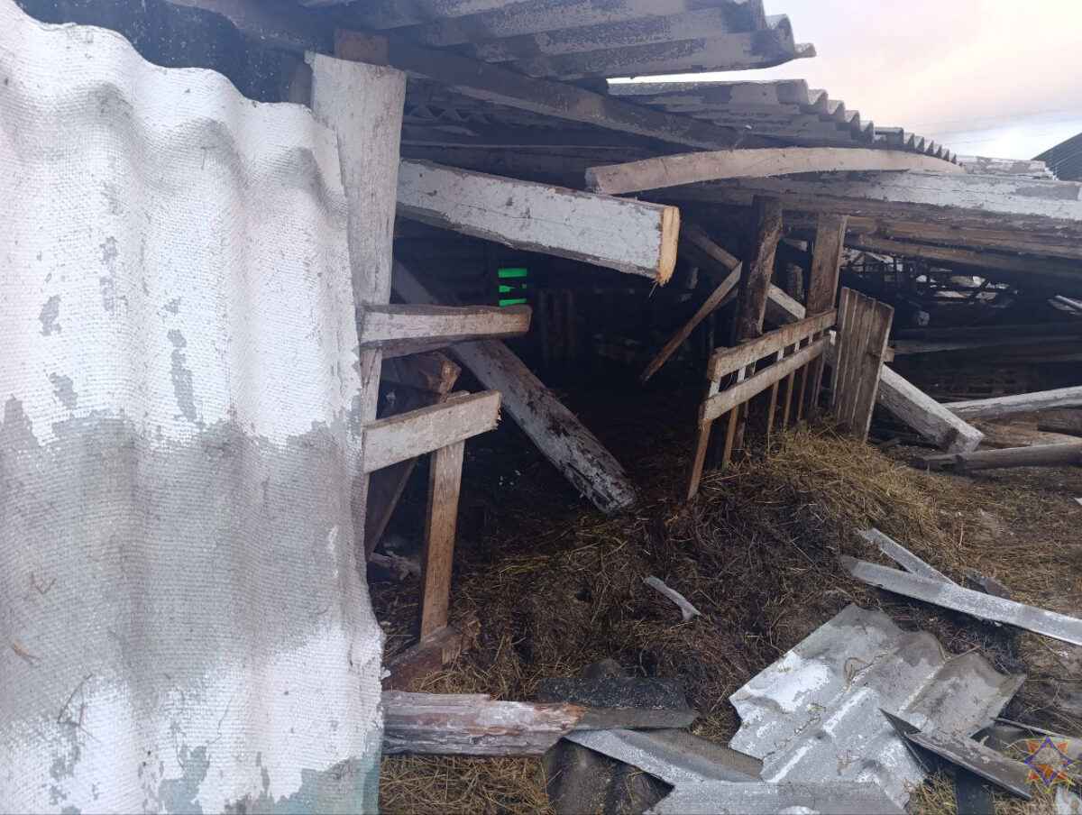 Шквалистый ветер снёс телятник на Могилёвщине и оставил без света десятки деревень Витебщины