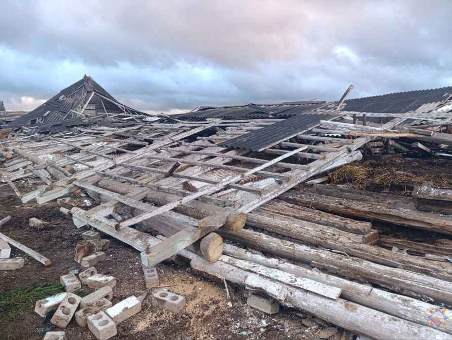 Шквалистый ветер снёс телятник на Могилёвщине и оставил без света десятки деревень Витебщины