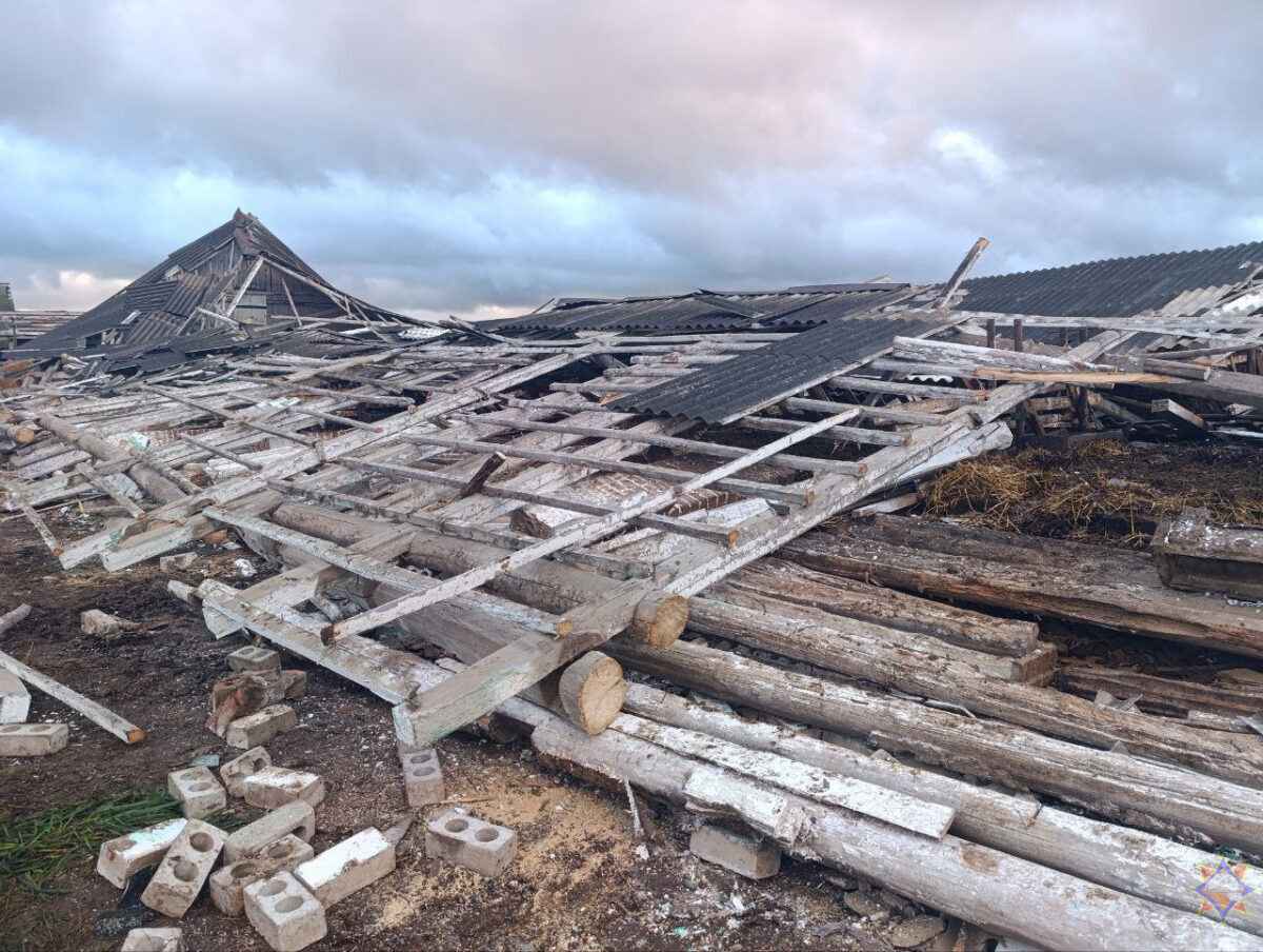 Шквалистый ветер снёс телятник на Могилёвщине и оставил без света десятки деревень Витебщины
