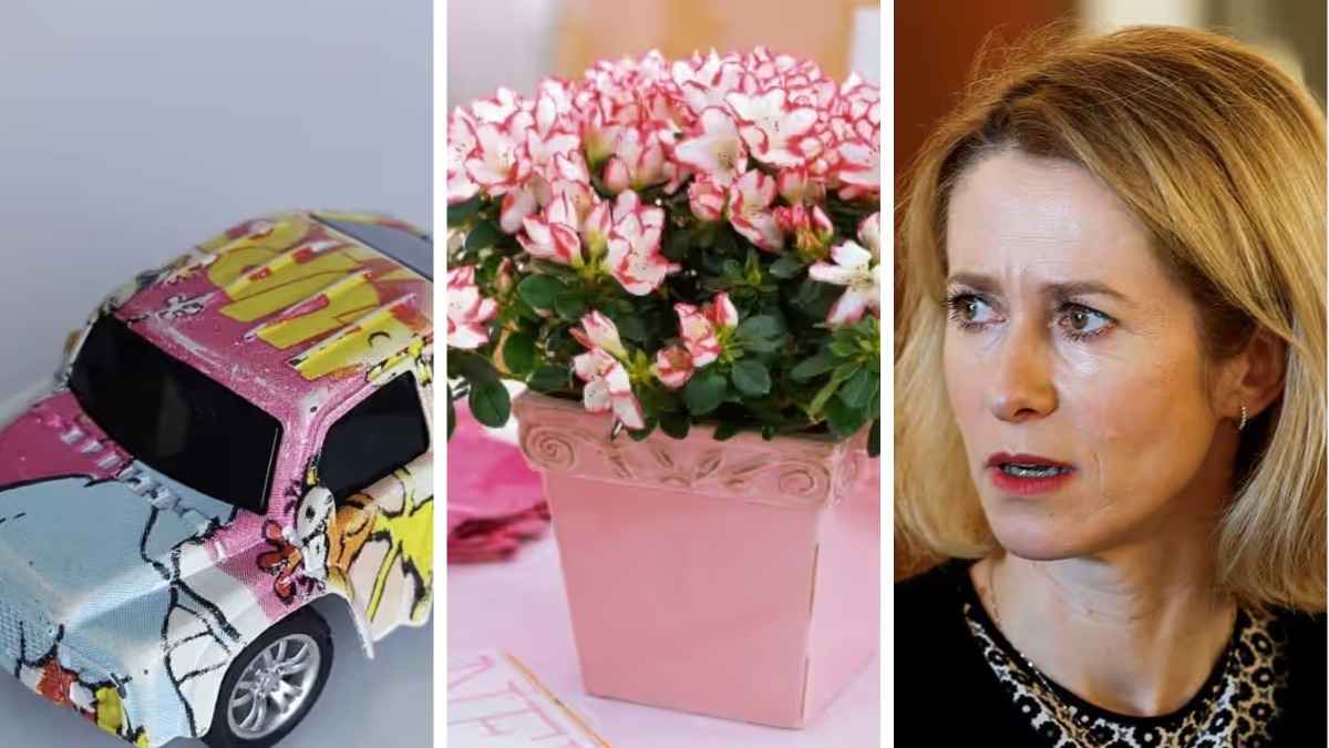 Игрушки и цветы. Стали известны необычные санкции ЕС в новом пакете против России