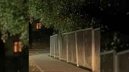 Минприроды предупредило белорусов об опасности: «Ни в коем случае не приближайтесь»