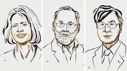 Нобелевскую премию по медицине вручили за исследование иммунитета человека