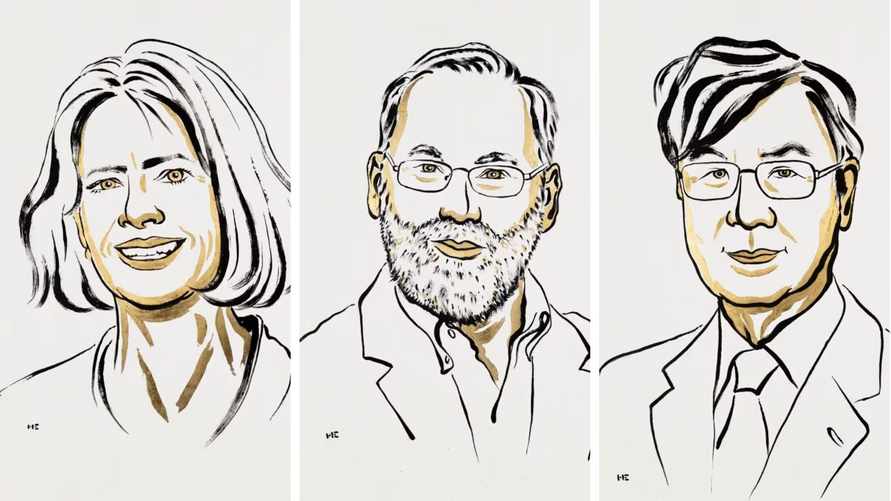 Нобелевскую премию по медицине вручили за исследование иммунитета человека