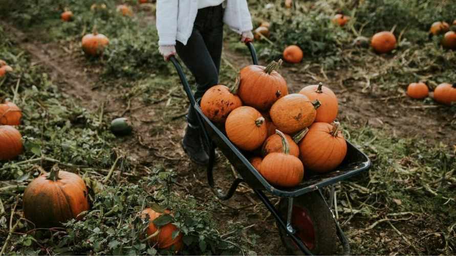 Фото иллюстарционное