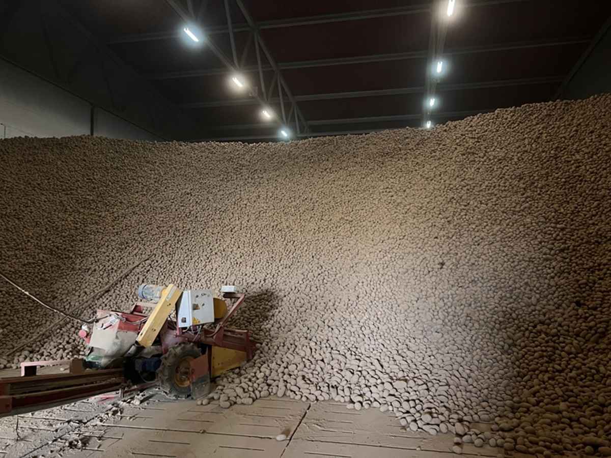 Фото: МАРТ РБ