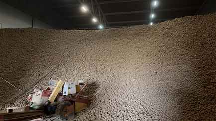 В стабфондах Беларуси недобор по «борщевому набору» и яблокам ещё 19,4% — МАРТ