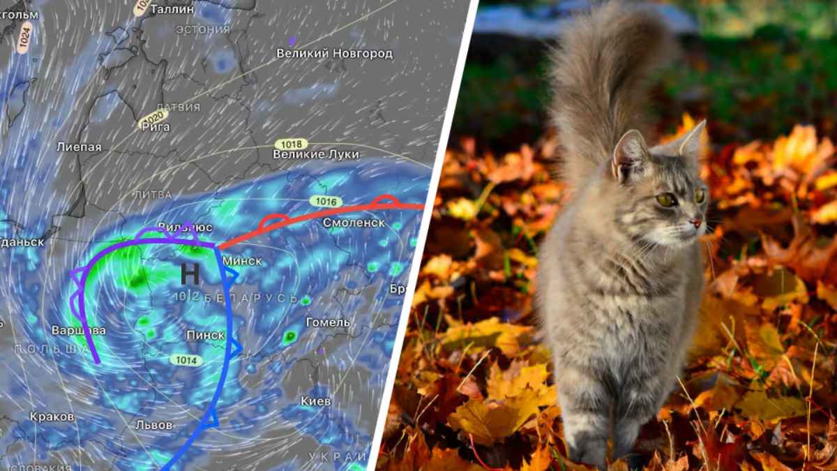 Где в Беларуси после ненастных выходных с мокрым снегом потеплеет до +18°С