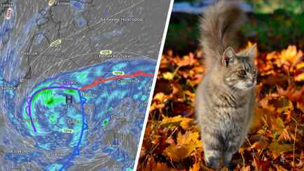 Где в Беларуси после ненастных выходных с мокрым снегом потеплеет до +18°С