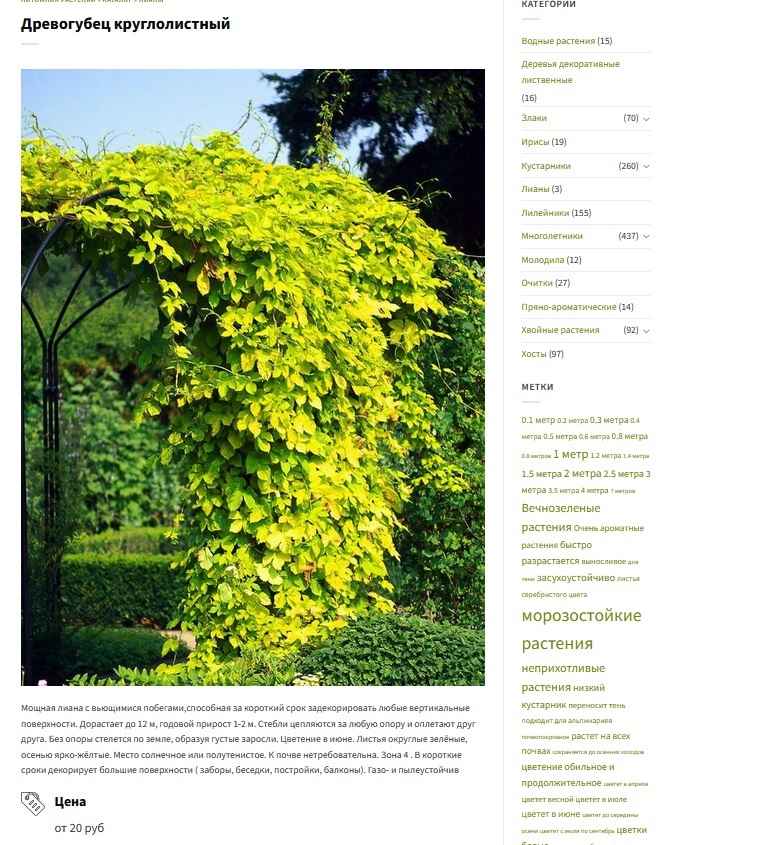 Штраф до 200 000 евро. Евросоюз ввел штрафы за выращивание популярного декоративного растения