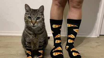 Подолог из Минска показала, как правильно выбрать в магазине носки по размеру. Поможет избежать неприятной проблемы