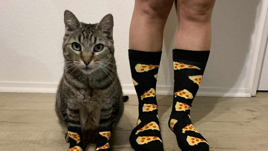 Фото иллюстрационное