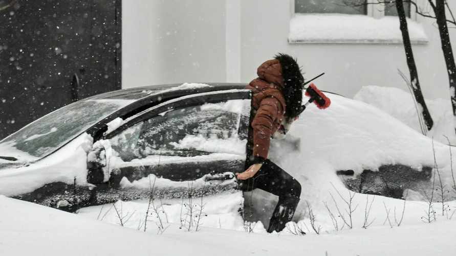 Фото иллюстрационное