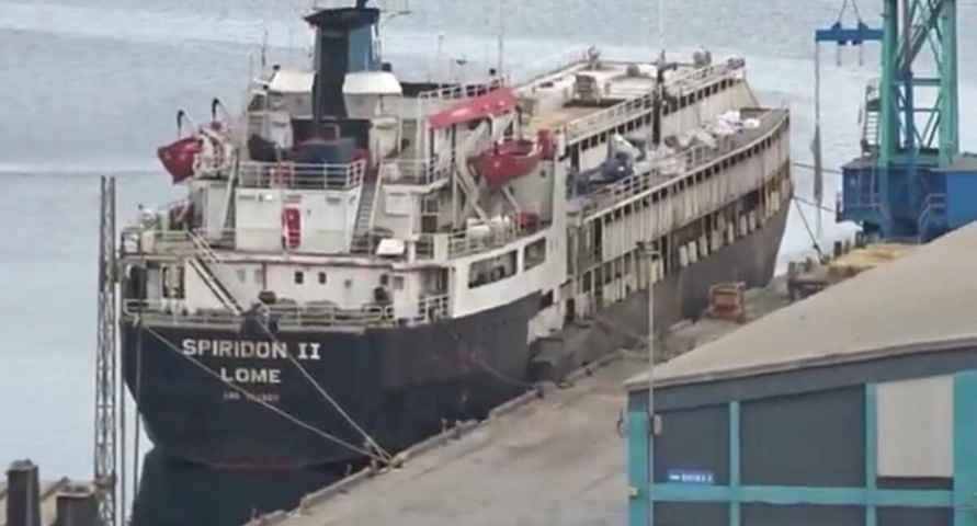 Тысячи коров застряли на корабле. Зоозащитники бьют тревогу