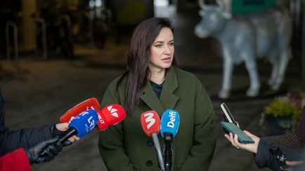 Литва пригозила снова закрыть границу с Беларусью