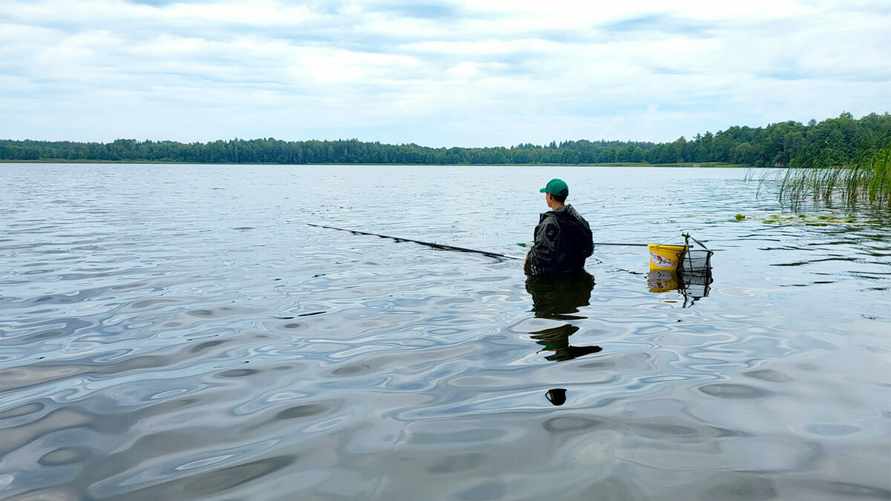 В Чехии рыбаков обвинили в издевательстве над рыбой. В Беларуси так делают все?