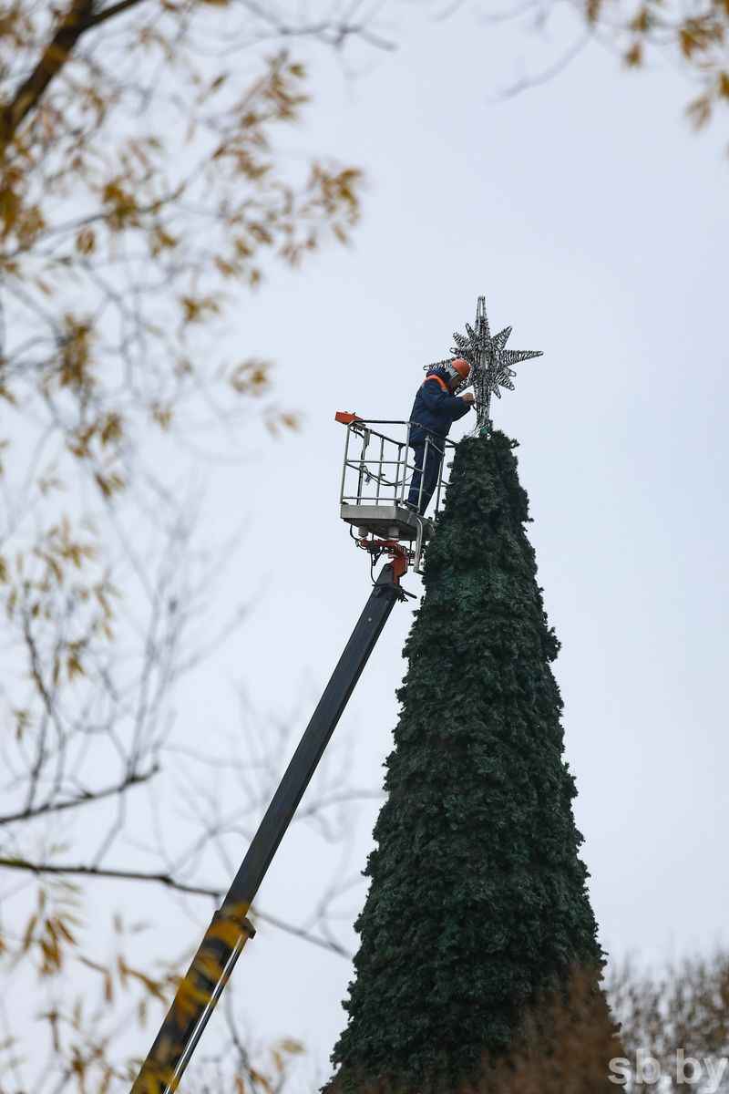 В городах Беларуси начали устанавливать новогодние ёлки