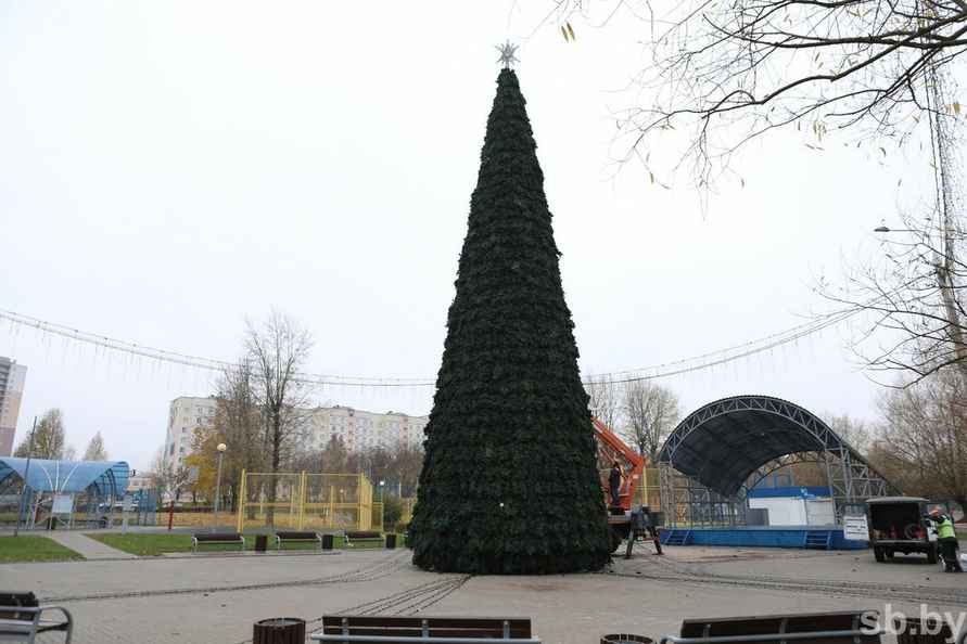 В городах Беларуси начали устанавливать новогодние ёлки