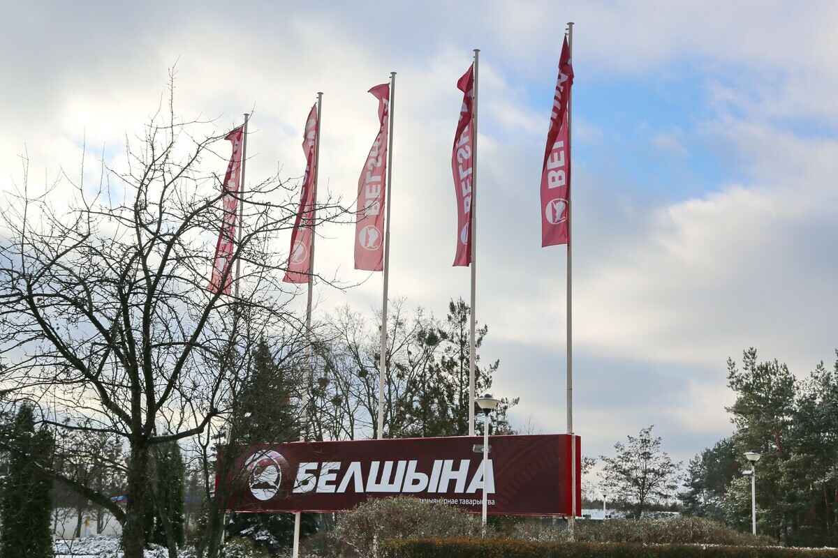 «Белшина» пожаловалась на демпинг китайских конкурентов в ЕАЭС. Что теперь будет?