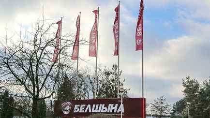 «Белшина» пожаловалась на демпинг китайских конкурентов в ЕАЭС. Что теперь будет?