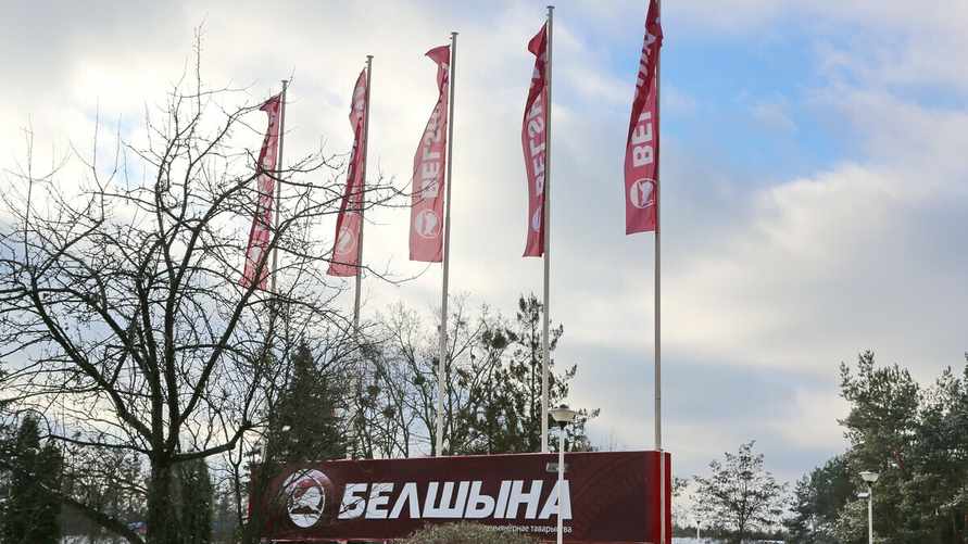 «Белшина» пожаловалась на демпинг китайских конкурентов в ЕАЭС. Что теперь будет?