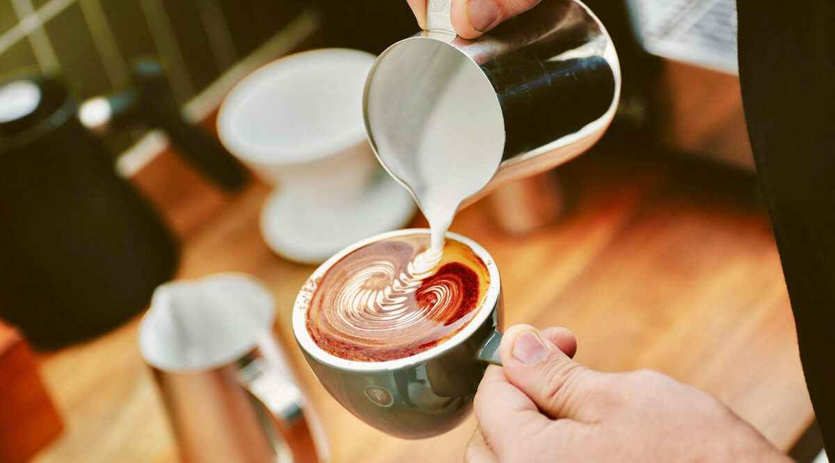 Белорусам приготовиться? Бельгийский стартап придумал, как заменить дорогущий кофе этим растением