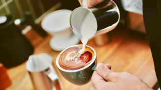 Белорусам приготовиться? Бельгийский стартап придумал, как заменить дорогущий кофе этим растением