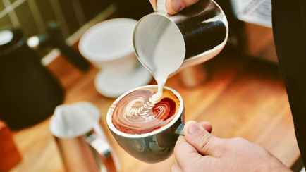 Белорусам приготовиться? Бельгийский стартап придумал, как заменить дорогущий кофе этим растением