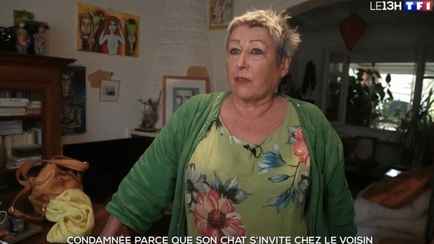 Женщину оштрафовали на 1250 евро из-за прогулок ее кота — «Неужели нет дел поважнее?»