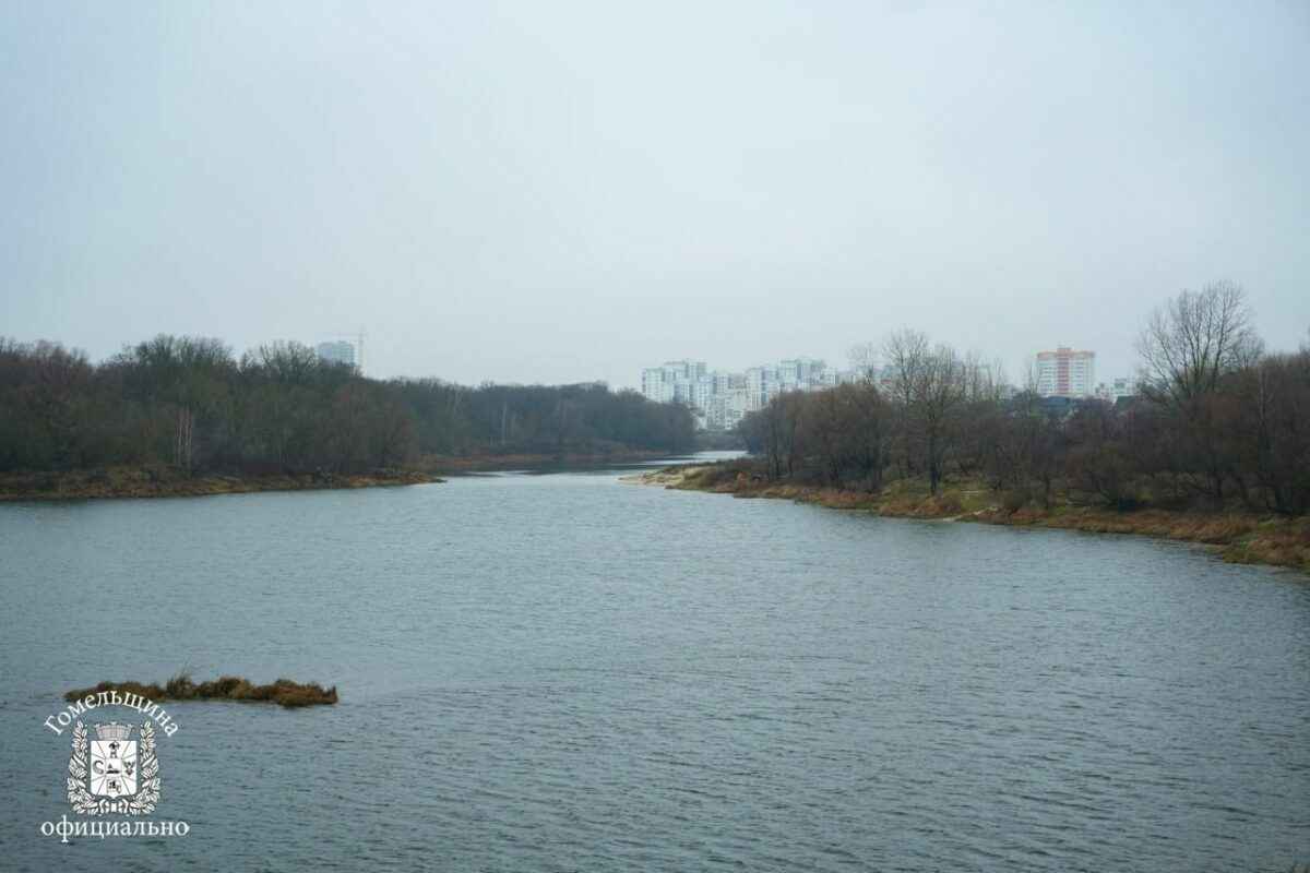 На Гомельщине начали строить масштабную дамбу. Станет местом отдыха?