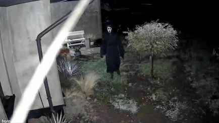 Кошмар из фильма ужасов терроризирует по ночам деревню — «А вам бы не было страшно?»