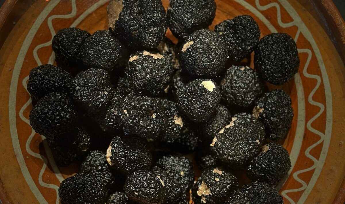 В Европе цена за килограмм этого гриба подскочила до 5 000 евро