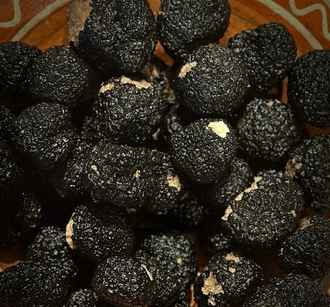 В Европе цена за килограмм этого гриба подскочила до 5 000 евро