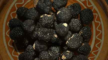 В Европе цена за килограмм этого гриба подскочила до 5 000 евро