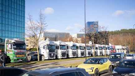 Литовские перевозчики собрались в Вильнюсе «поскорбеть» после закрытия границы с Беларусью