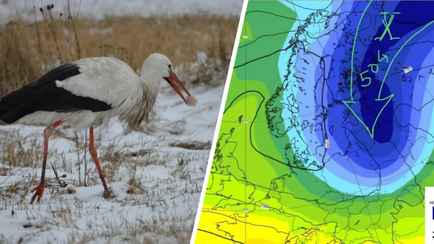 «Может ухнуть до -20°C» — Синоптики назвали даты первых «зимних» морозов в Беларуси