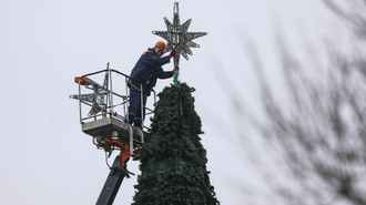 В городах Беларуси начали устанавливать новогодние ёлки