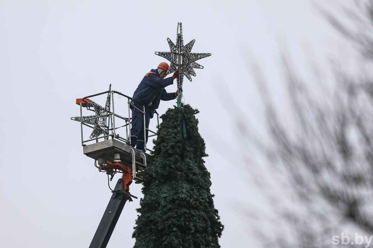 В городах Беларуси начали устанавливать новогодние ёлки