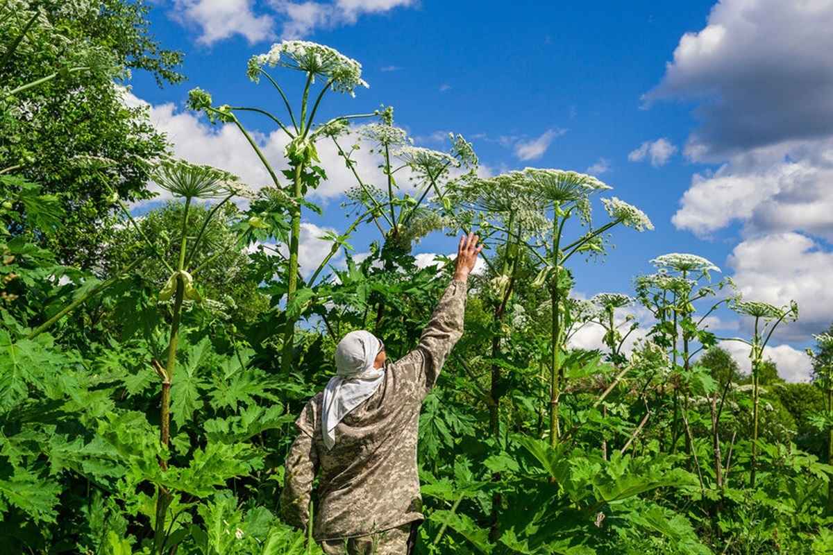 Фото иллюстрационное